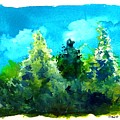 Three Evergreens